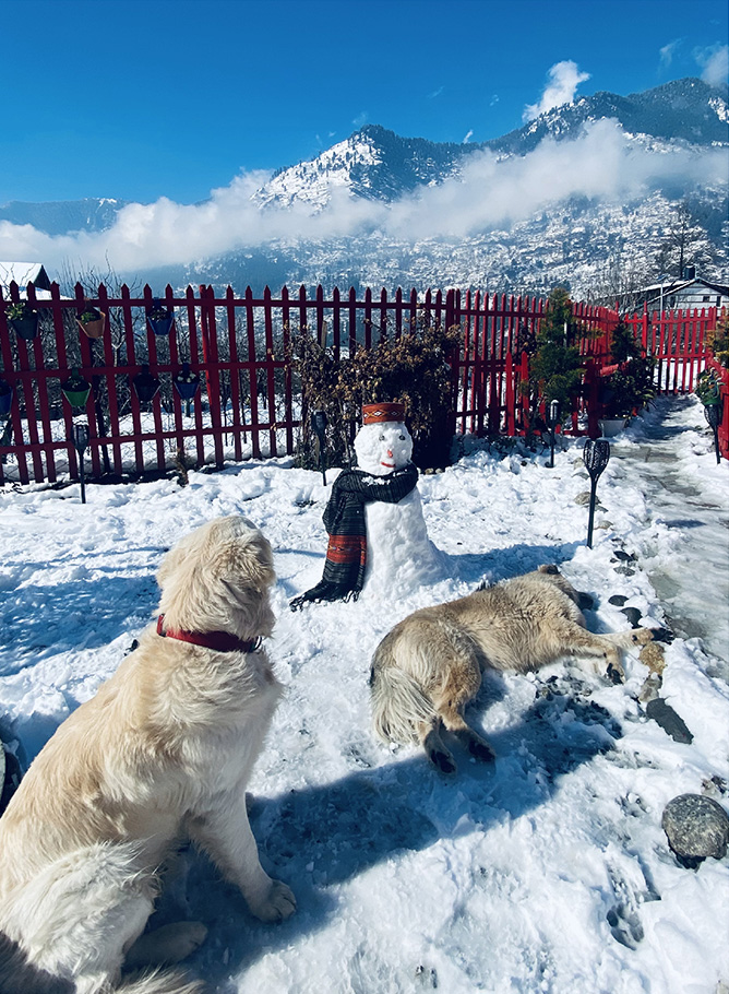 Manali Luxury Villa Moutain View